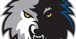 Timberwolves alternate