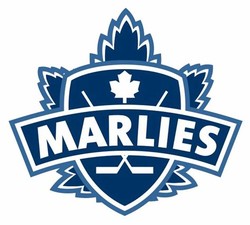 Toronto marlies