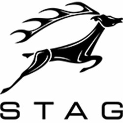 Triumph stag