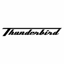 Triumph thunderbird