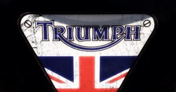 Triumph thunderbird