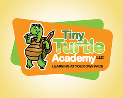 Turtle academy