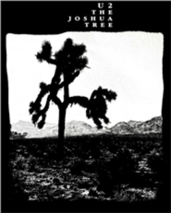 U2 joshua tree
