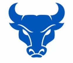 Ub bulls