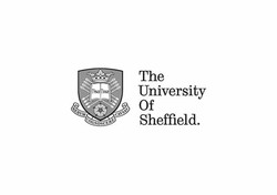University of sheffield
