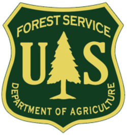 Us forest service
