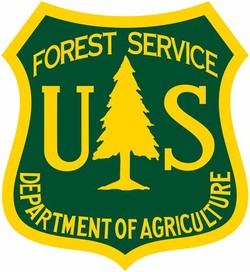 Usda forest service