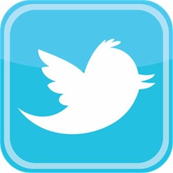 Vector twitter bird