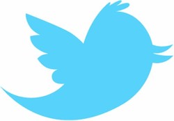 Vector twitter bird