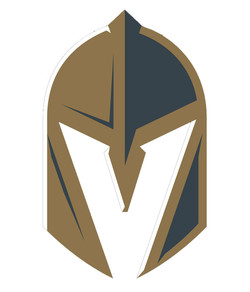 Vegas golden knights