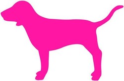 Victoria secret pink dog