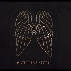 Victoria secret wings