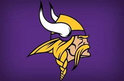 Vikings team