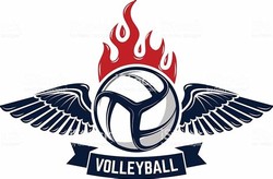 Volleyball emblem