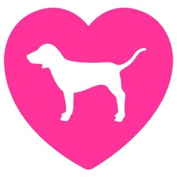 Vs pink dog