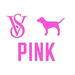 Vs pink dog