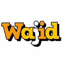 Wajid