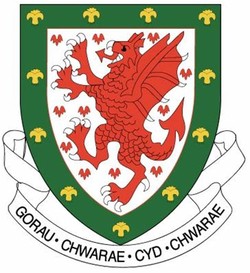 Wales football