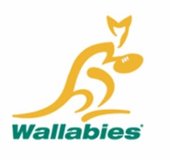 Wallabies rugby