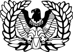 Warrant officer rising eagle