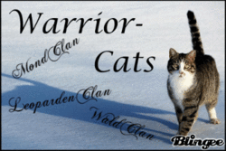 Warrior cats