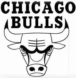 White chicago bulls