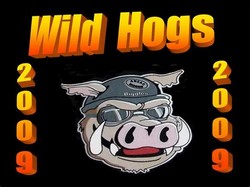 Wild hogs