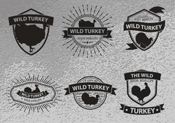 Wild turkey