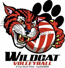 Wildcat volleyball