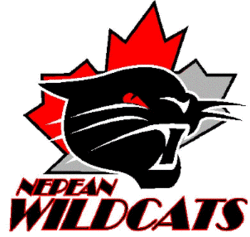 Wildcats hockey