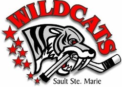 Wildcats hockey