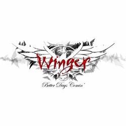 Winger band