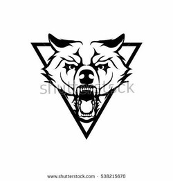 Wolf face