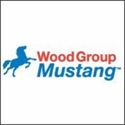 Wood group mustang