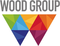 Wood group psn