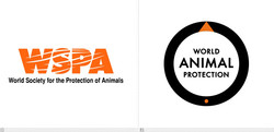World animal protection
