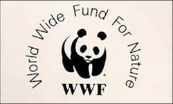 World wide fund