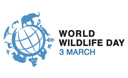 World wildlife
