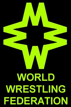 World wrestling federation