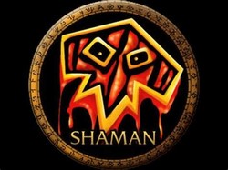 Wow shaman