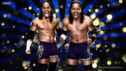 Wwe the usos