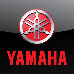 Yamaha bolt
