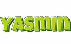Yasmin name