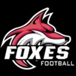 Yorkville foxes