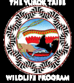 Yurok tribe